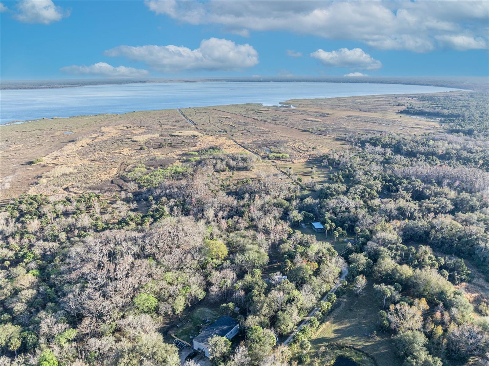 OSCEOLA BLUFF SOUTH 5 ACRE DEV 86 PARCELS - Land