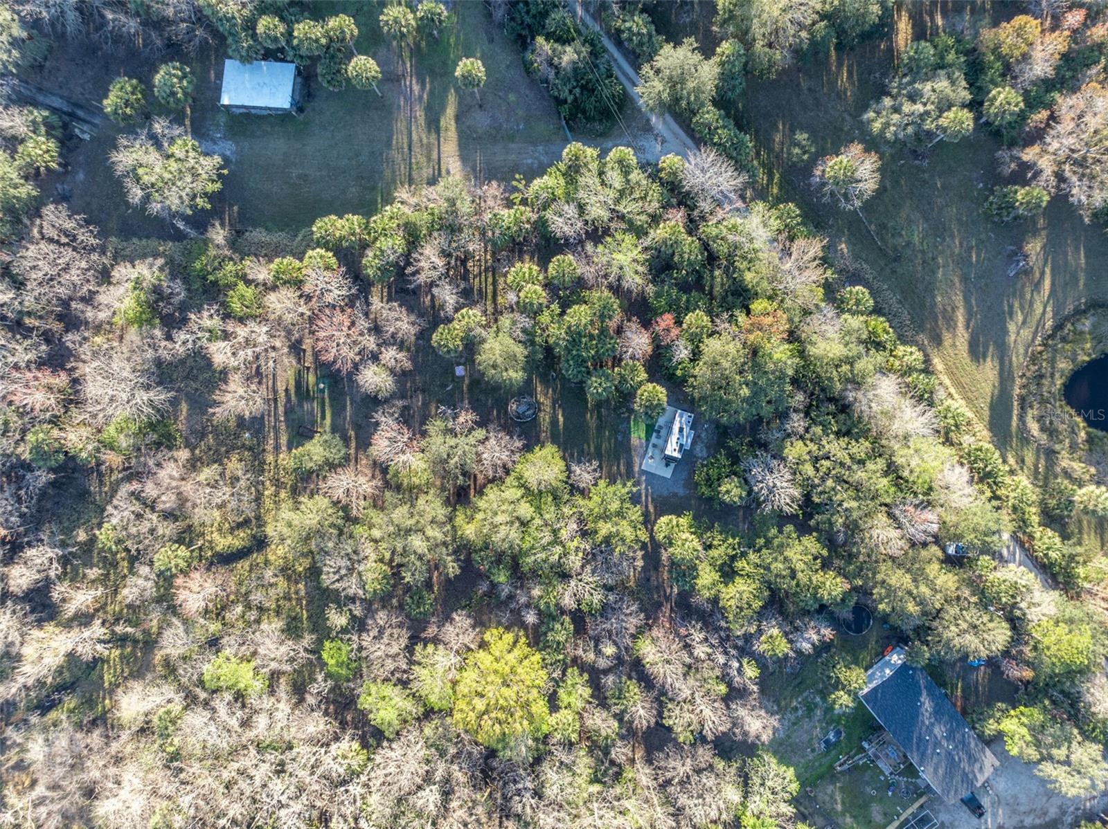 OSCEOLA BLUFF SOUTH 5 ACRE DEV 86 PARCELS - Land