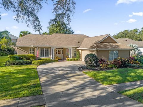 A home in MOUNT DORA