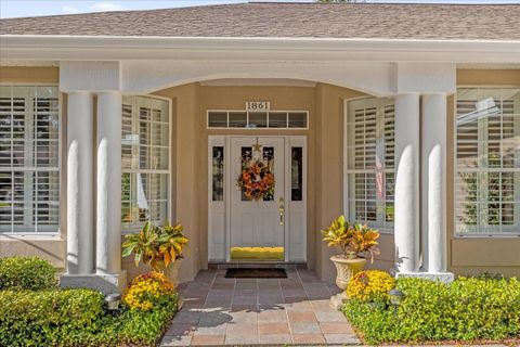 A home in MOUNT DORA