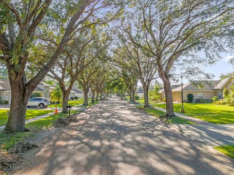 A home in MOUNT DORA