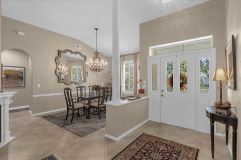 A home in MOUNT DORA