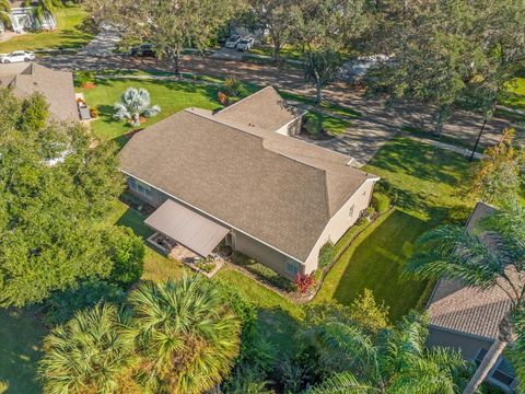 A home in MOUNT DORA