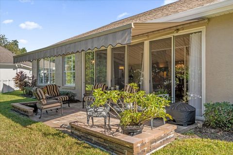 A home in MOUNT DORA