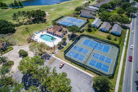 A home in MOUNT DORA