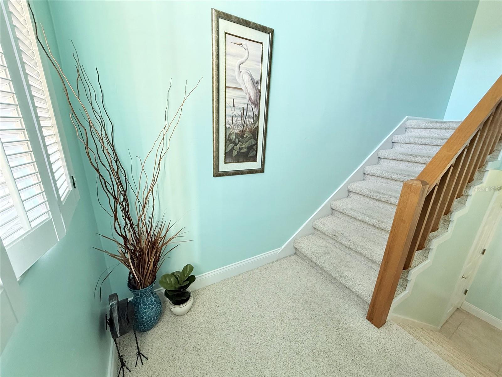 MARINA COVE - Residential