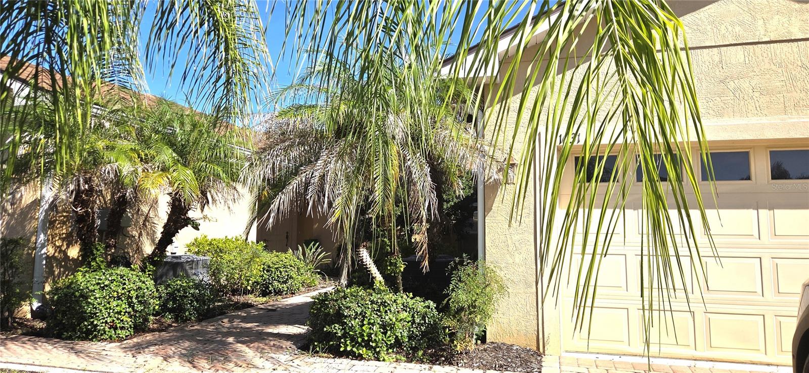 1631 LINZ COURT