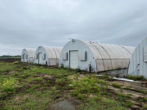 Tiny photo for 00 SE 160 Avenue, Morriston, FL 32668 (MLS # S5121428)