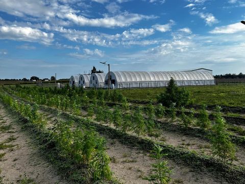 Tiny photo for 00 SE 160 Avenue, Morriston, FL 32668 (MLS # S5121428)