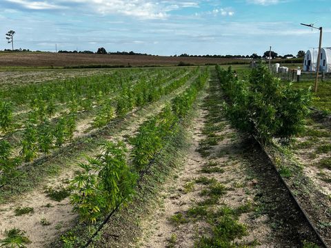 Tiny photo for 00 SE 160 Avenue, Morriston, FL 32668 (MLS # S5121428)