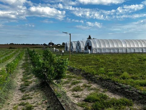 Tiny photo for 00 SE 160 Avenue, Morriston, FL 32668 (MLS # S5121428)