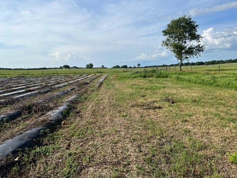 Tiny photo for 00 SE 160 Avenue, Morriston, FL 32668 (MLS # S5121428)