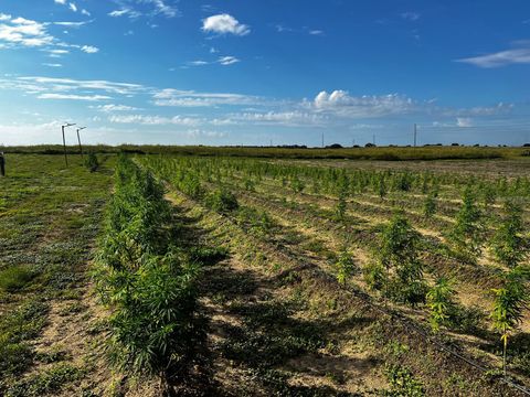 Tiny photo for 00 SE 160 Avenue, Morriston, FL 32668 (MLS # S5121428)