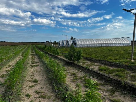 Tiny photo for 00 SE 160 Avenue, Morriston, FL 32668 (MLS # S5121428)