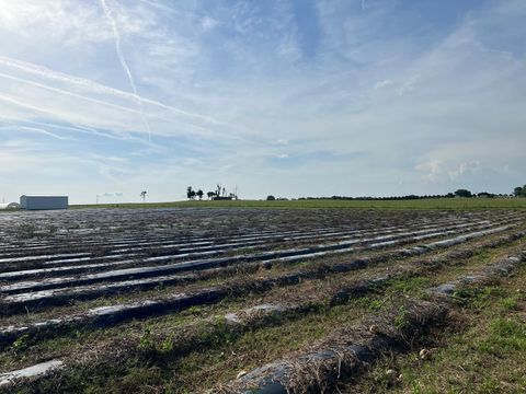 Tiny photo for 00 SE 160 Avenue, Morriston, FL 32668 (MLS # S5121428)