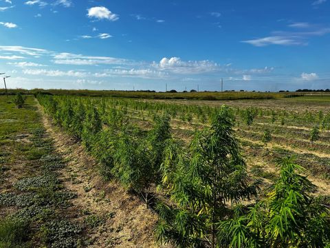 Tiny photo for 00 SE 160 Avenue, Morriston, FL 32668 (MLS # S5121428)