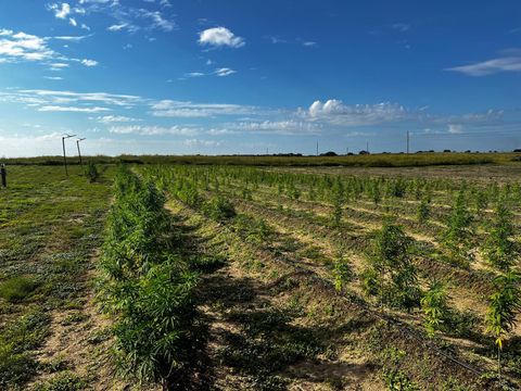 Tiny photo for 00 SE 160 Avenue, Morriston, FL 32668 (MLS # S5121428)