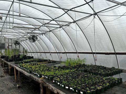 Tiny photo for 00 SE 160 Avenue, Morriston, FL 32668 (MLS # S5121428)