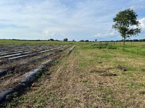 Tiny photo for 00 SE 160 Avenue, Morriston, FL 32668 (MLS # S5121428)