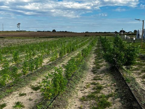 Tiny photo for 00 SE 160 Avenue, Morriston, FL 32668 (MLS # S5121428)