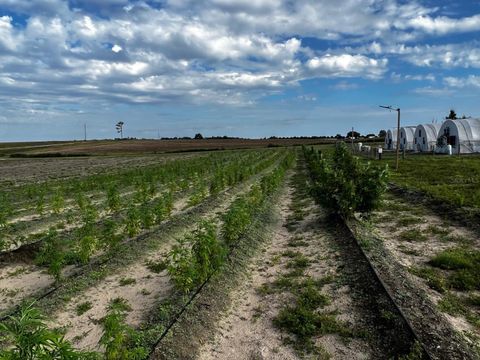 Tiny photo for 00 SE 160 Avenue, Morriston, FL 32668 (MLS # S5121428)