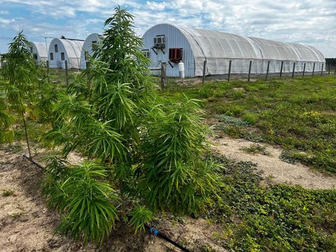 Tiny photo for 00 SE 160 Avenue, Morriston, FL 32668 (MLS # S5121428)