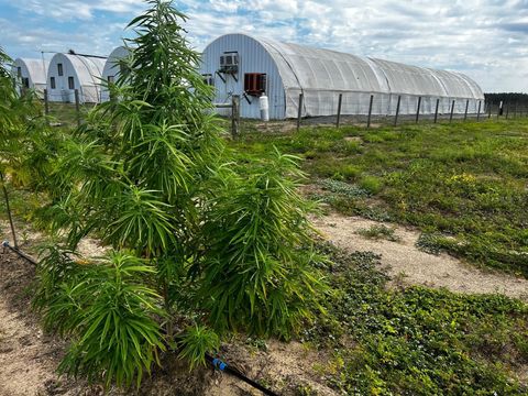 Tiny photo for 00 SE 160 Avenue, Morriston, FL 32668 (MLS # S5121428)