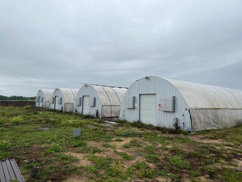 Tiny photo for 00 SE 160 Avenue, Morriston, FL 32668 (MLS # S5121428)