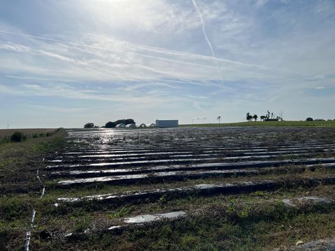 Tiny photo for 00 SE 160 Avenue, Morriston, FL 32668 (MLS # S5121428)