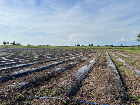 Tiny photo for 00 SE 160 Avenue, Morriston, FL 32668 (MLS # S5121428)