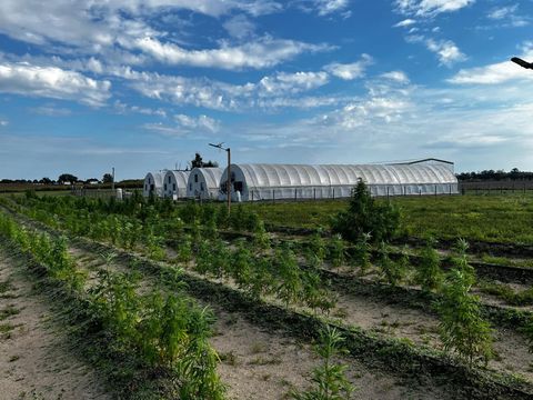 Tiny photo for 00 SE 160 Avenue, Morriston, FL 32668 (MLS # S5121428)