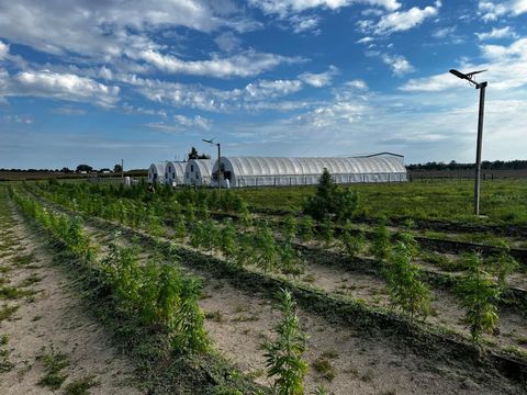 Tiny photo for 00 SE 160 Avenue, Morriston, FL 32668 (MLS # S5121428)