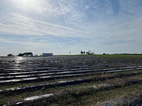 Tiny photo for 00 SE 160 Avenue, Morriston, FL 32668 (MLS # S5121428)