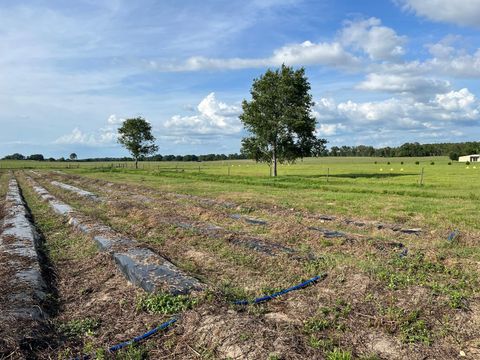 Tiny photo for 00 SE 160 Avenue, Morriston, FL 32668 (MLS # S5121428)