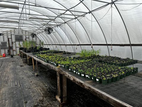 Tiny photo for 00 SE 160 Avenue, Morriston, FL 32668 (MLS # S5121428)