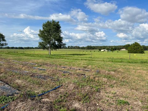 Tiny photo for 00 SE 160 Avenue, Morriston, FL 32668 (MLS # S5121428)