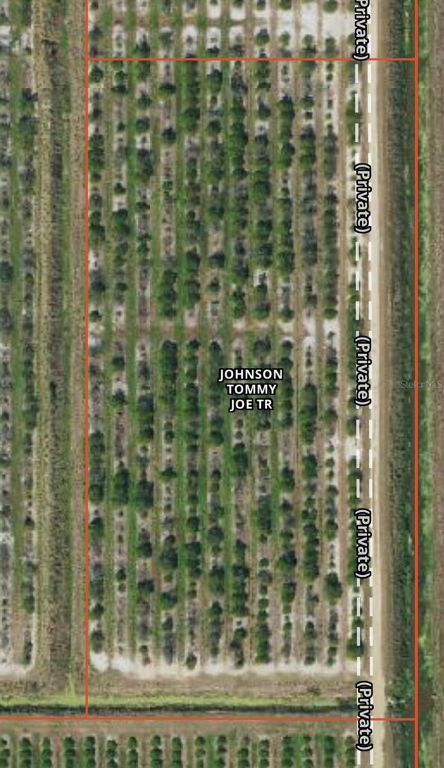 5 Acres with 450 foot well and eletric. Owner financing is available.