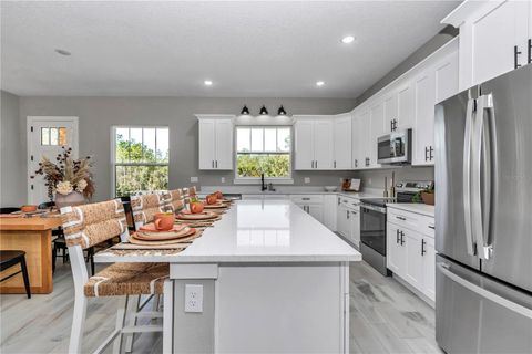 A home in OCALA