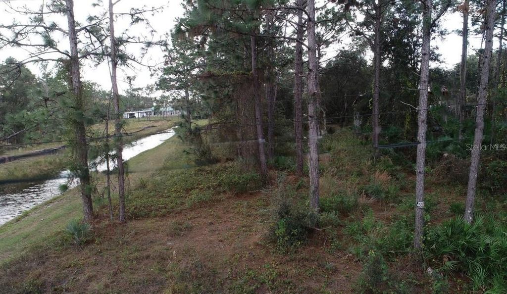 Photo of Sheldon Street, Orlando, FL 32833 (MLS # O6381965)