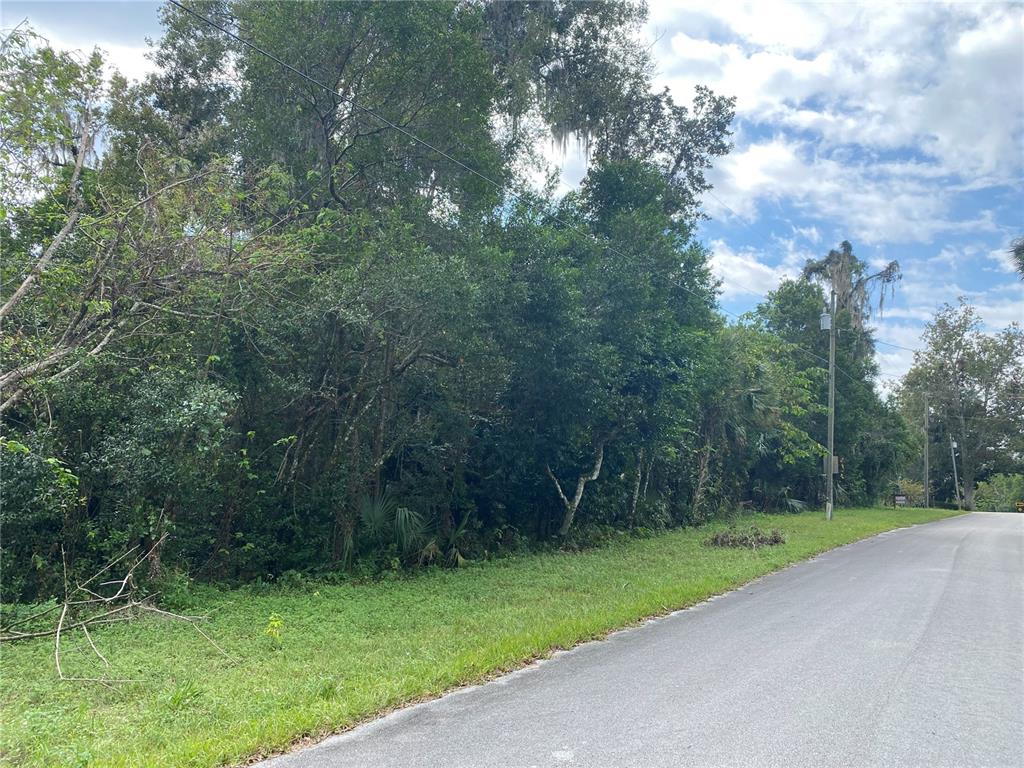 Owner financing is available! Beautiful wooded 85'x125' lot ready for your new home. Located a stone's throw from the gorgeous natural DeLeon Spring and its State Park. Enjoy the peace and quiet of the country, with only a short drive to downtown DeLand. This location is also approximately 30 miles to area Beaches and is not located in an HOA community. Multiple lots available, see additional listings. Lot lines in images are approximate, please see survey. Owner will consider financing. All information in MLS is intended to be correct, but should be independently verified by Buyer.