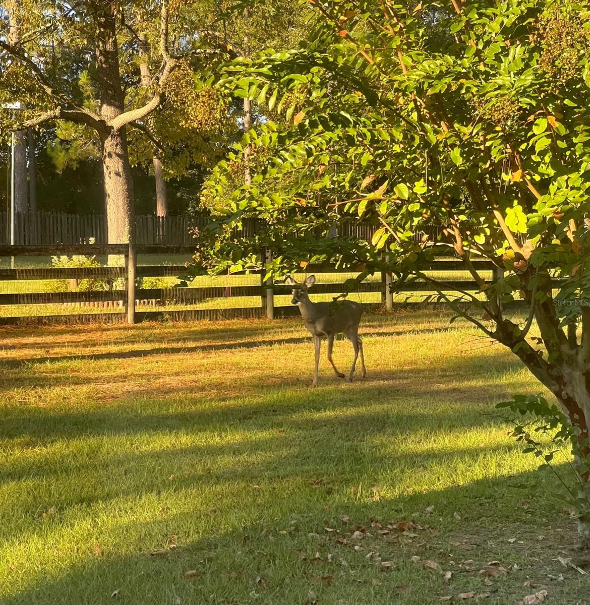 EDGEMOOR - Residential
