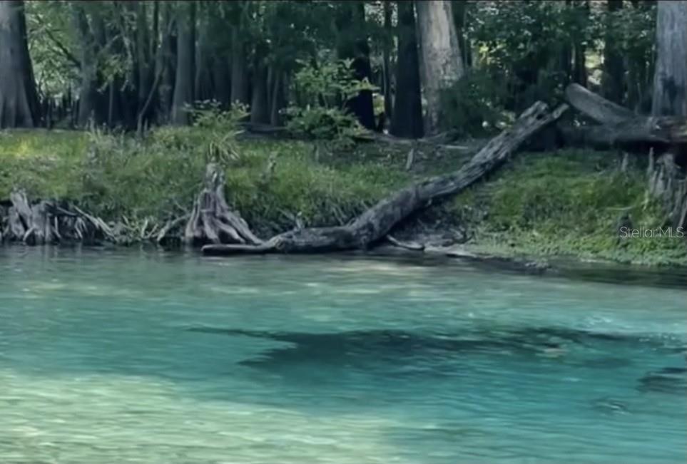 EDGEMOOR - Residential