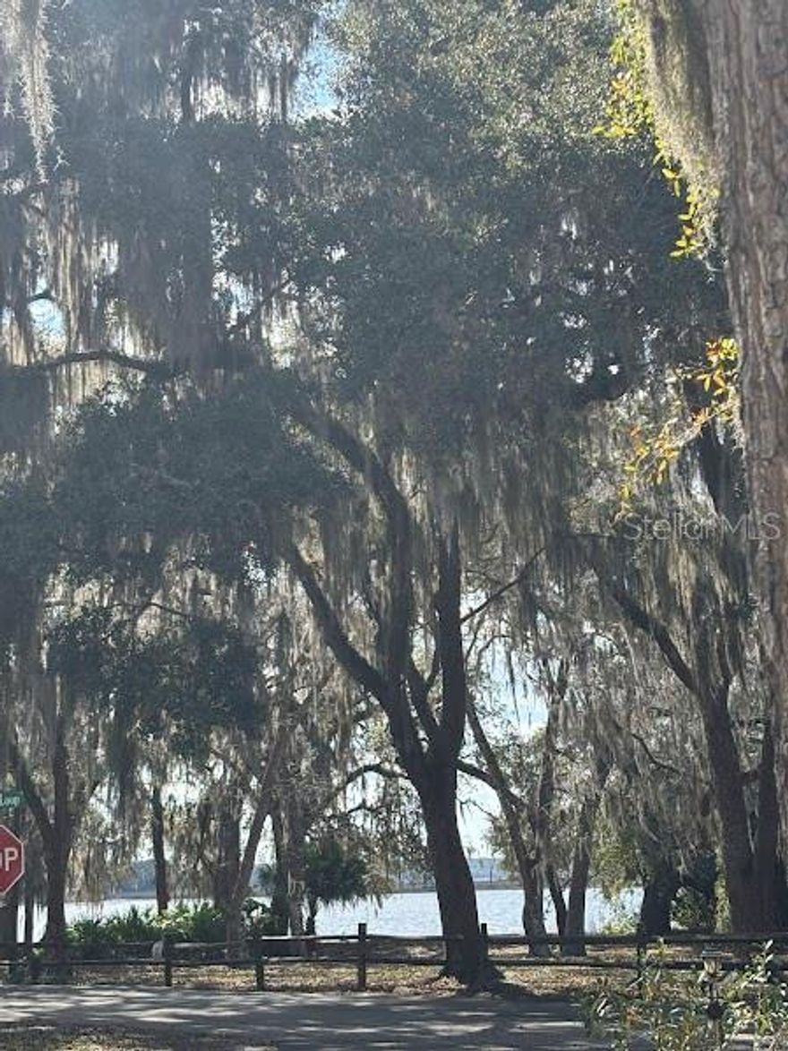 ENJOY THE EASY LIVING AT THE SALT SPRINGS RESORT! THIS DEEDED LOT HAS A VIEW OF LITTLE LAKE KERR! Salt Springs Resort has its own boat launch into little Lake Kerr and connects to big Lake Kerr for the fishermen or water activities! Not to mention all the nearby trails for hiking and adventure! Take a day trip and head to the beach, Daytona beach est. 45mins away!  Make this your weekend getaway or permanent home. Better yet Airbnb to make some extra cash. Only 40 minutes from Ocala FL & 23 miles to Palatka FL.. At the end of the day enjoy a swim in the 2 huge pools or shoot some horseshoes, play pickleball or basketball. This resort offers plenty of amenities that will keep you busy.