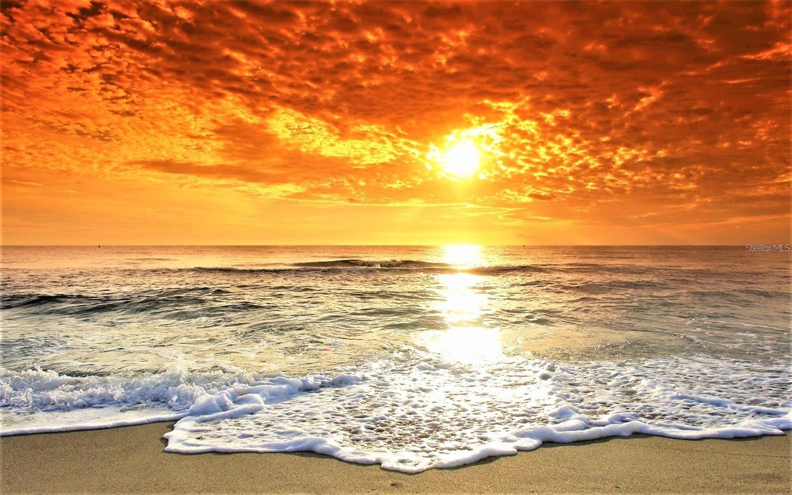 BEDFORD D CONDO - Residential