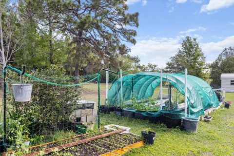 Tiny photo for 8921 S Thoroughbred Point, Inverness, FL 34452 (MLS # TB8372184)