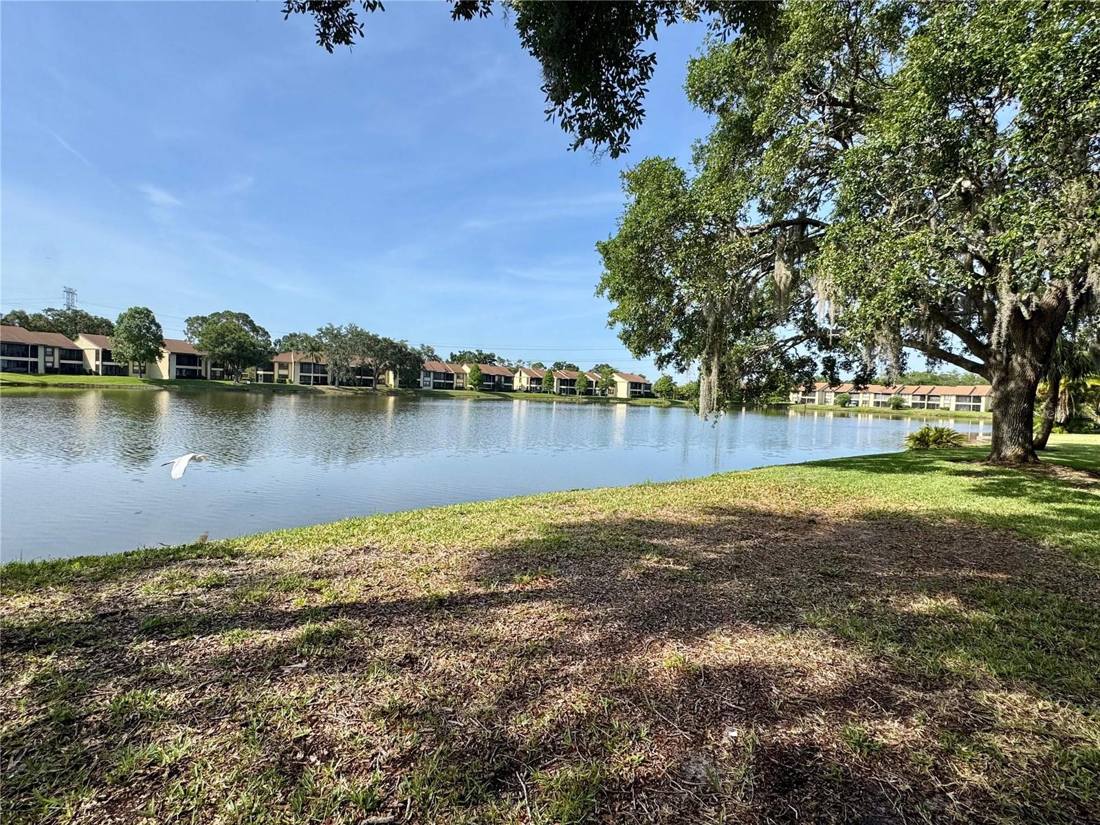 220 CYPRESS LANE 220