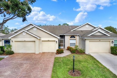 A home in SUN CITY CENTER