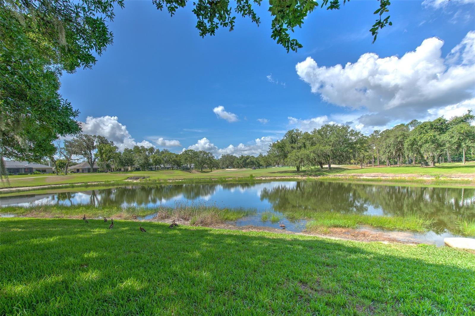 RIVER HILLS COUNTRY CLUB PH - Residential