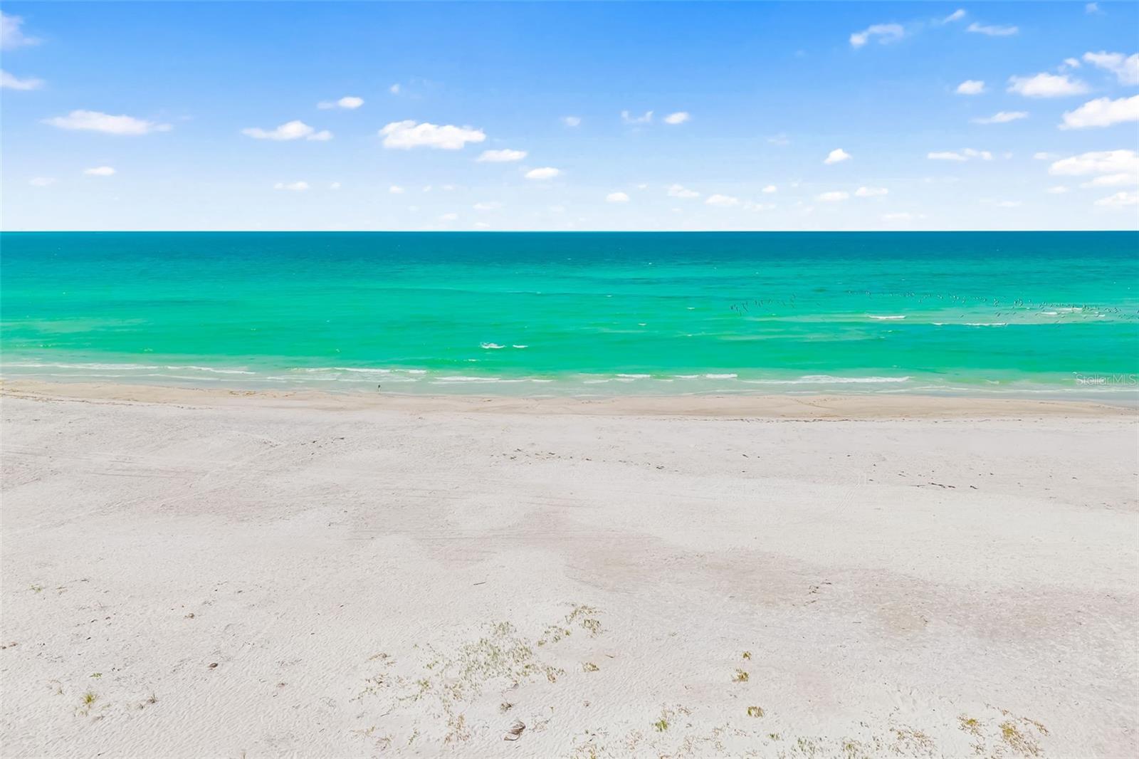 SARASOTA HARBOR - Residential