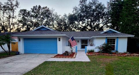 A home in TAMPA